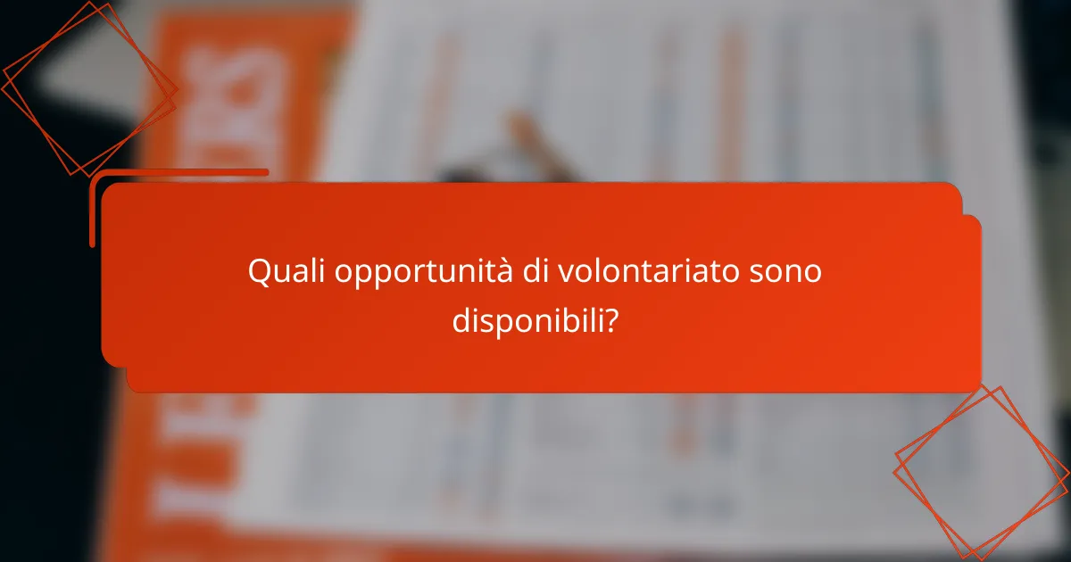 Quali opportunità di volontariato sono disponibili?