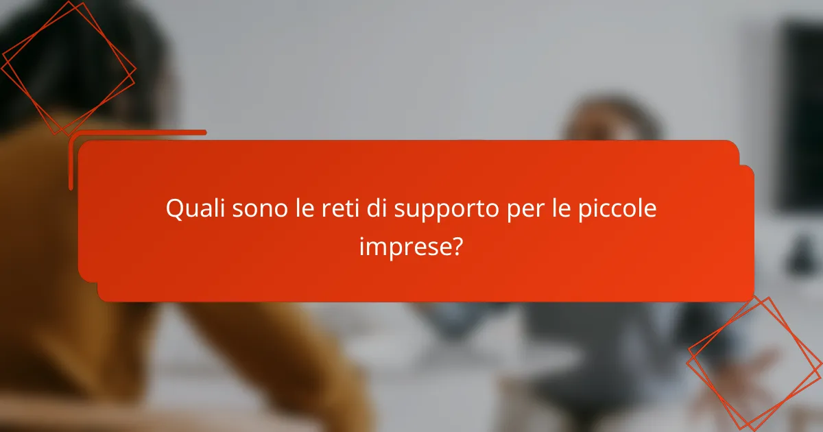 Quali sono le reti di supporto per le piccole imprese?
